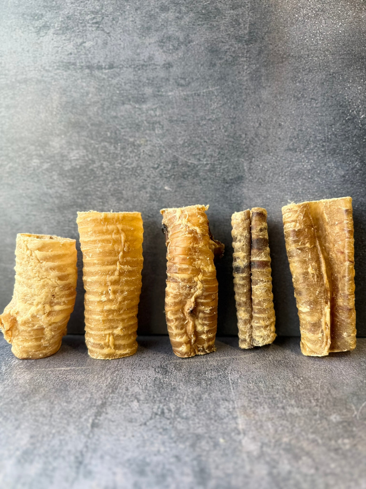 Beef Trachea 12cm