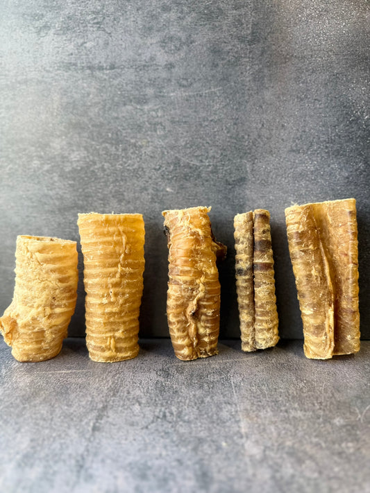 Beef Trachea 12cm