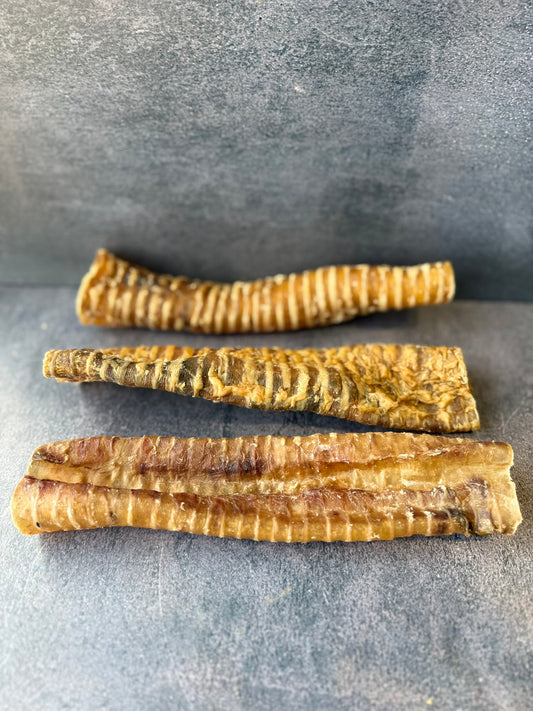 Beef Trachea 24cm
