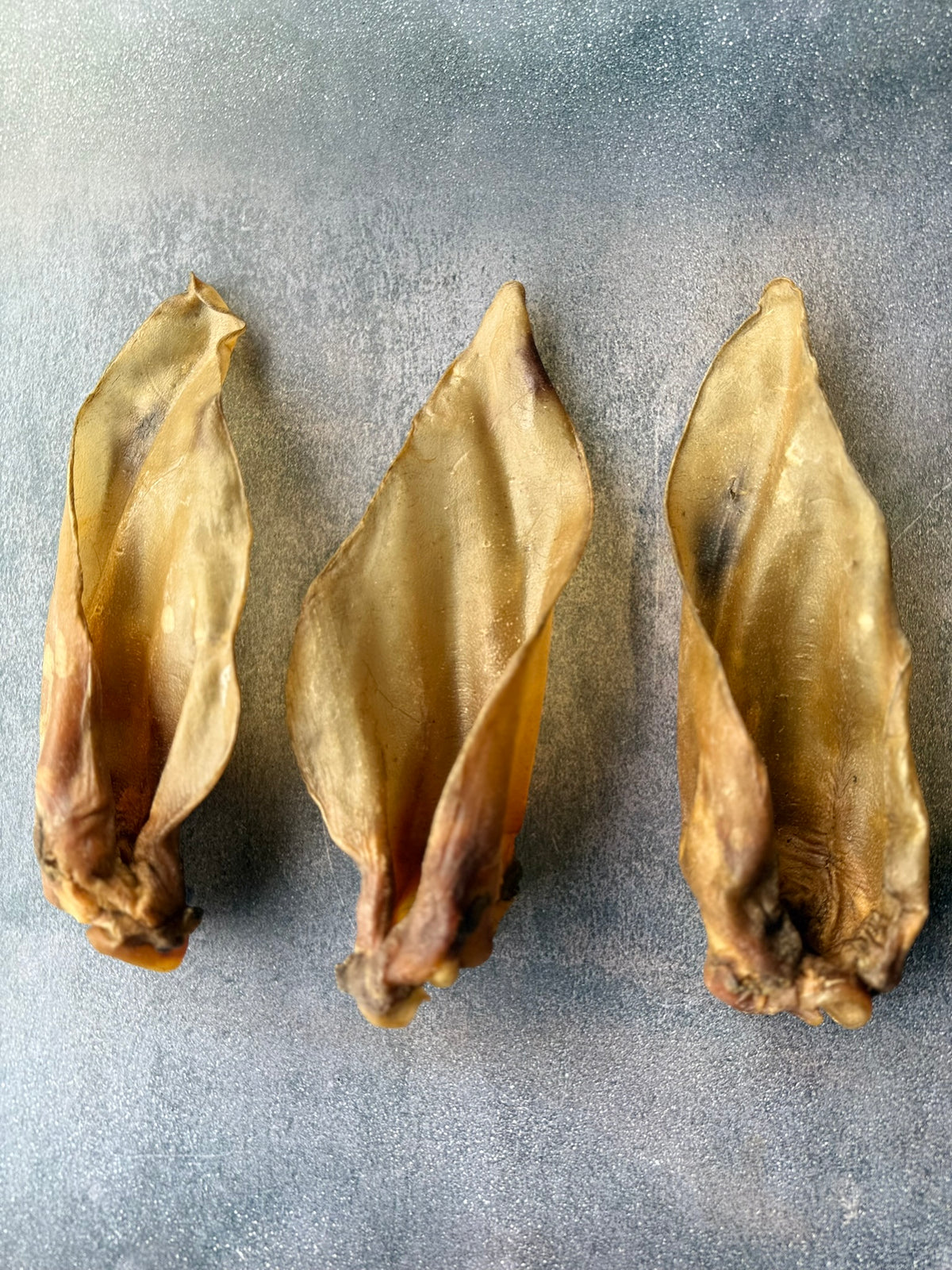 Large Buffalo Ears