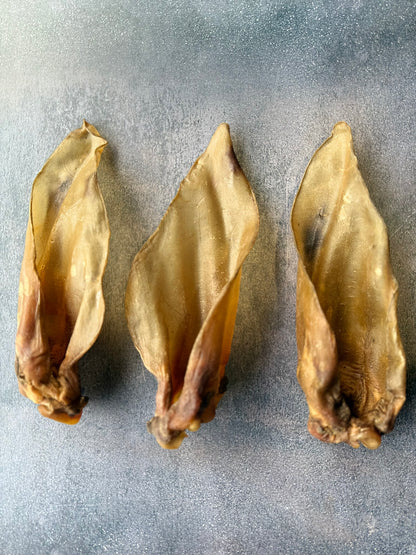 Large Buffalo Ears