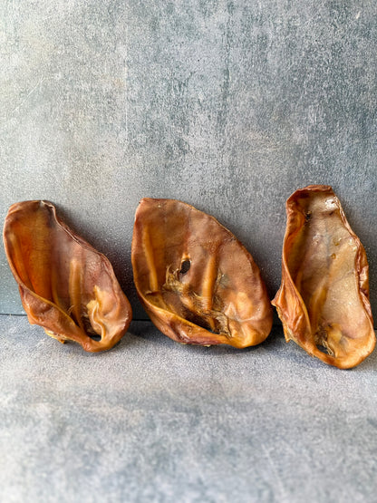 Large Pig Ears