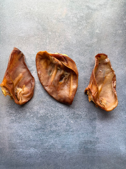 Large Pig Ears