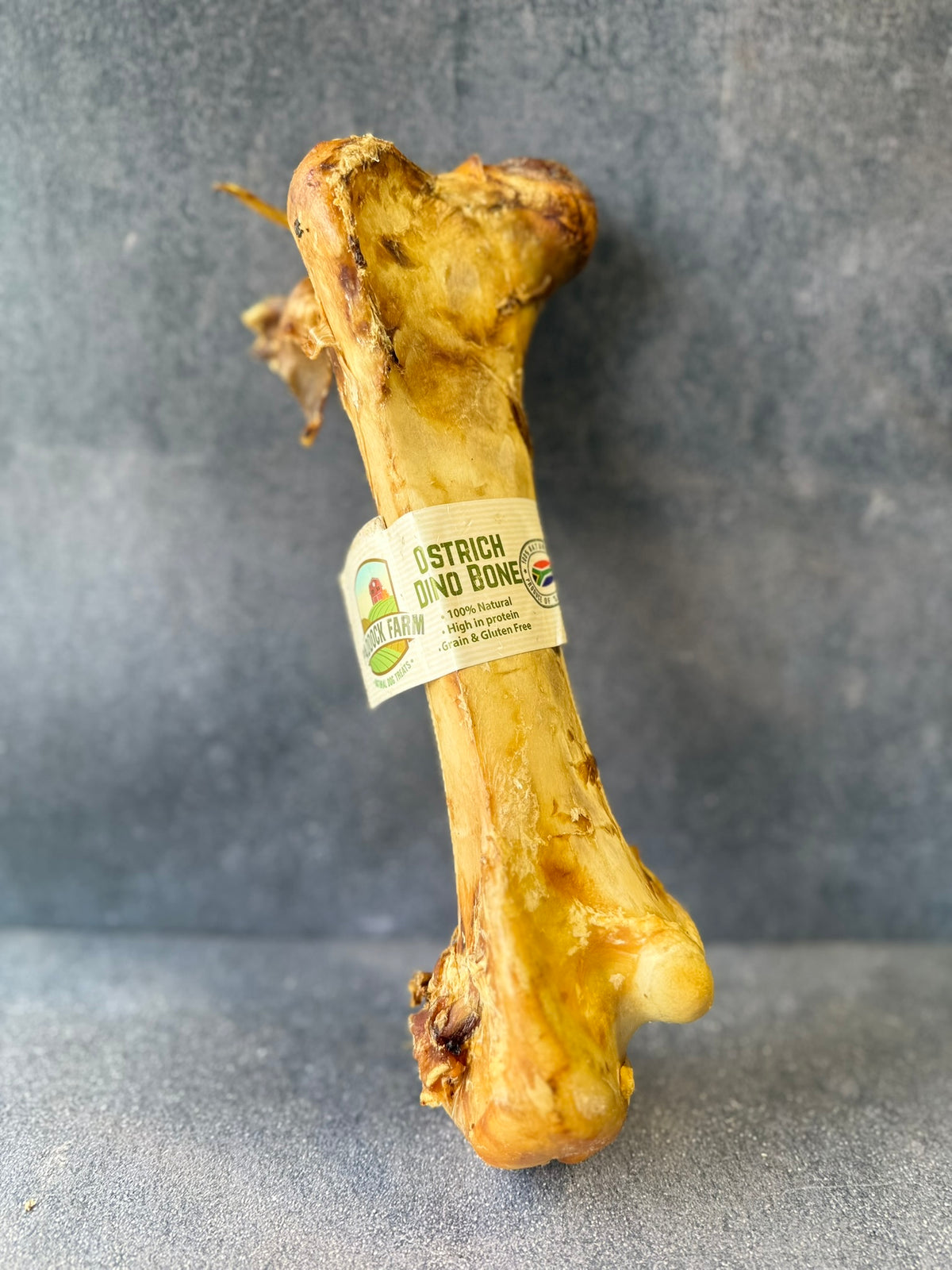 Ostrich Dino Bone
