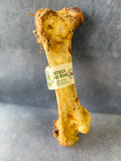 Ostrich Dino Bone