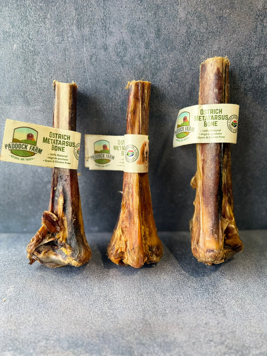 Ostrich Metatarsus Bone