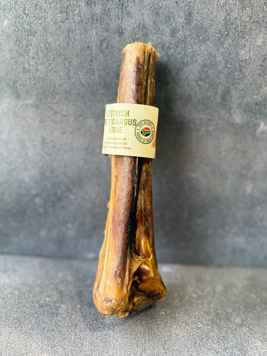 Ostrich Metatarsus Bone