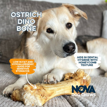 Ostrich Dino Bone